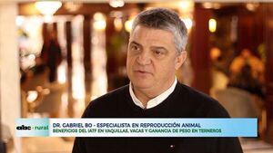 Beneficios del IATF en vaquillas, vacas y ganancia de peso en terneros  - ABC Rural - ABC Color
