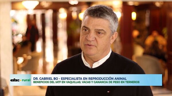 Beneficios del IATF en vaquillas, vacas y ganancia de peso en terneros  - ABC Rural - ABC Color