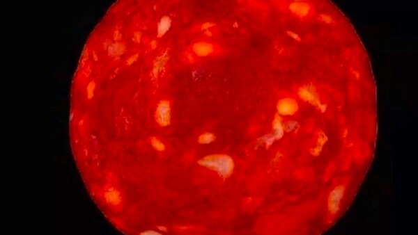 Un científico francés confundió la foto de una feta de salame con un nuevo planeta