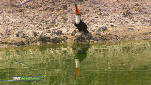 SNT Al NATURAL | El agua dulce en Paraguay APAD - SNT