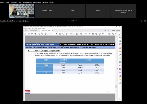 Cuestionan a la ANDE el hecho de firmar contratos con electrointensivas sin licitación - Nacionales - ABC Color
