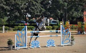 Hipismo: Selectivas en el Hípico - Polideportivo - ABC Color