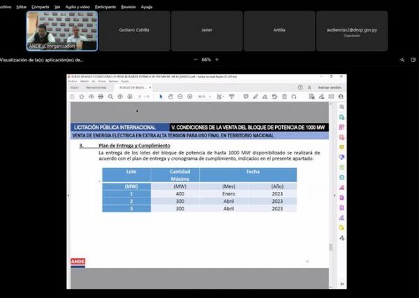 Cuestionan a la ANDE el hecho de firmar contratos con electrointensivas sin licitación