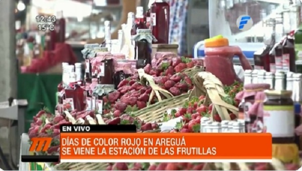 Productores de frutillas ofertan sus mejores productos en Areguá