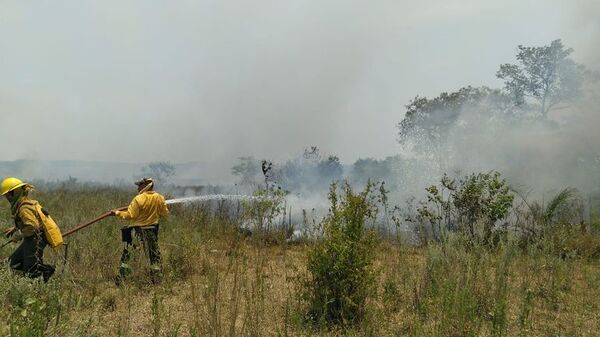 Bomberos Voluntarios Forestales piden que el gobierno invierta en equipos y aviones hidrantes - Nacionales - ABC Color