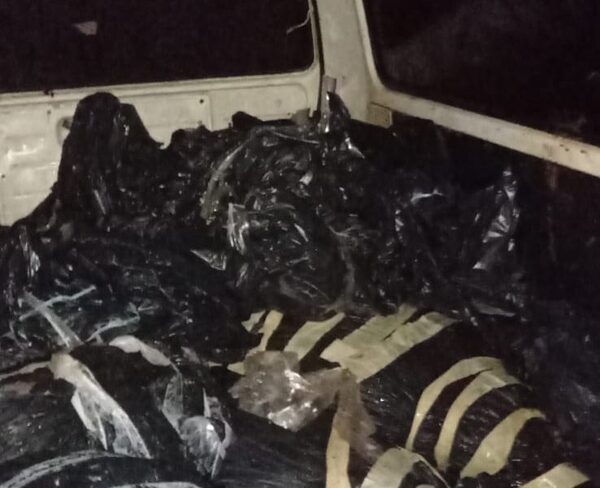 Incautan carne que ingresó de contrabando