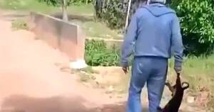La Nación / Terrible: arrastró colgando de una pata a un cachorro y lo arrojó a un arroyo