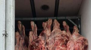 Incautan toneladas de carne y productos frutihortícolas de contrabando