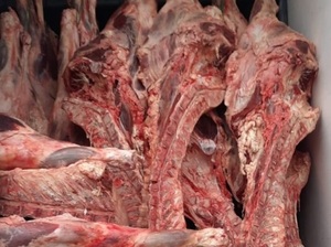 Incautan más de 11 toneladas de carne y productos frutihortícolas