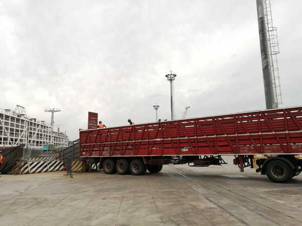 Uruguay exportó 13.000 terneras y vaquillas Angus en pie para China