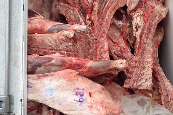 Incautan toneladas de carne y productos frutihortícolas de contrabando