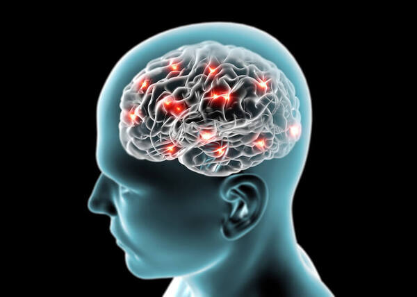 El cerebro y sus permisos - El Independiente