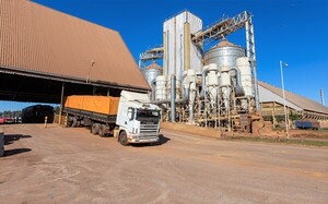 Cappro reclama ley de importación indefinida de oleaginosas para poder competir y consolidar la industria nacional – La Mira Digital