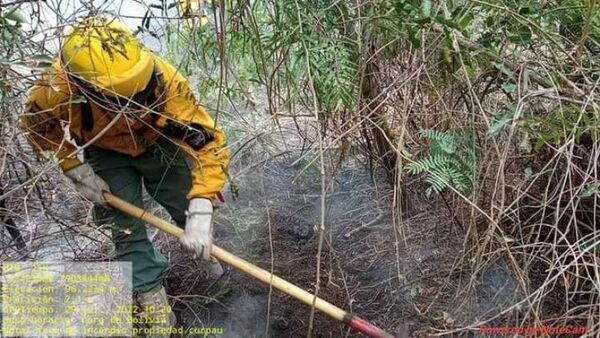 Incendios provenientes de Paraguay afectan al interior del Parque Nacional de Bolivia