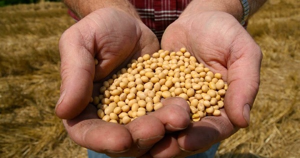 Morosidad del sector agrícola en bancos alcanzó US$ 5,5 millones | Análisis Macro | 5Días