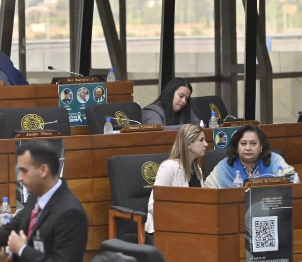 Juicio político a Sandra Quiñónez: “Razones sobran, votos faltan” - Política - ABC Color