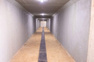 Intendente afirma que el túnel peatonal genera un descontento generalizado - ADN Digital