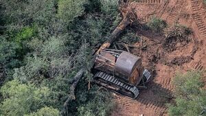 El cambio climático puede agravar 50% de enfermedades infecciosas