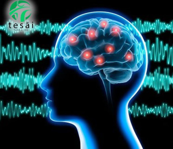 Fundaciõn Tesãi conmemoró la Semana Nacional de la Epilepsia | DIARIO PRIMERA PLANA