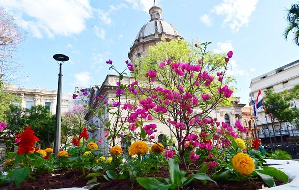 ¡Plazas asuncenas están repletas flores! - Nacionales - ABC Color