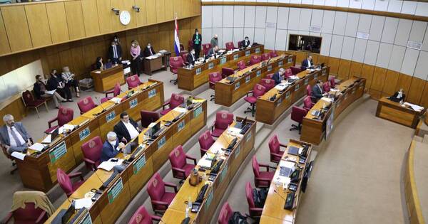 La Nación / Senado intentará nuevamente expedirse sobre el préstamo de US$ 615 millones en sesión del jueves