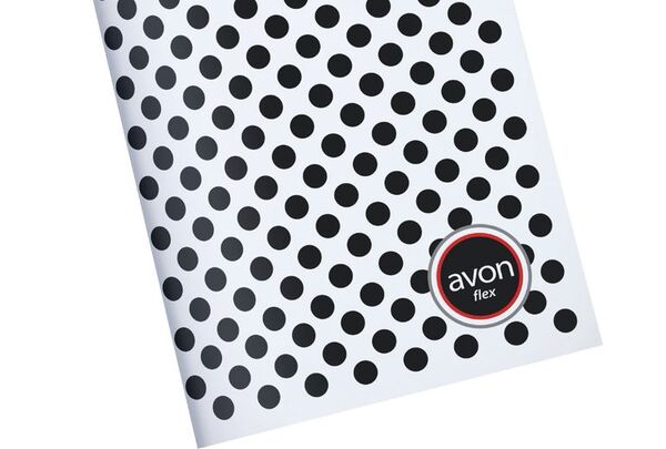 Los favoritos del país son los cuadernos Avon - Empresariales - ABC Color