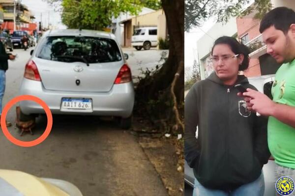 PMT denuncia a automovilista por hurto de cepo en Luque •