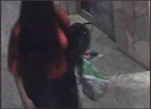 Crónica / Busca a la que llevó su cartera del baño de un shopping
