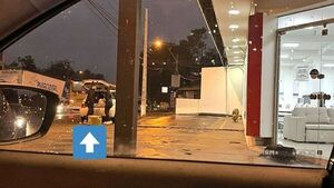 Pareja fue fotografiada dando de comer a perros callejeros