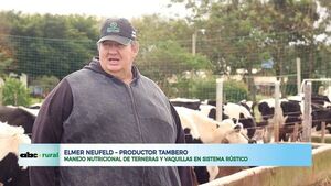 Manejo nutricional de terneras en sistema rustico    - ABC Noticias - ABC Color