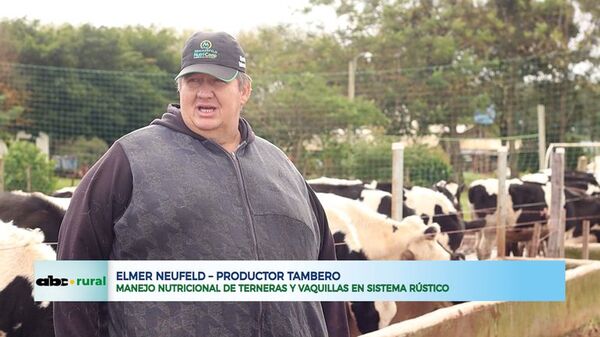 Manejo nutricional de terneras en sistema rustico - ABC Noticias - ABC Color