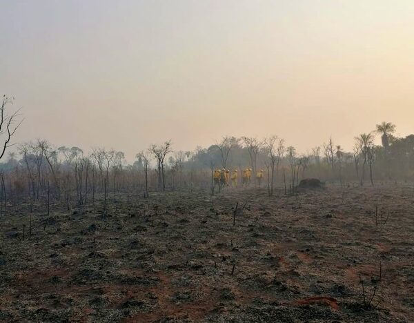 Alto Paraguay y Boquerón reportaron más de 1.300 focos de calor al cierre de julio - .::Agencia IP::.