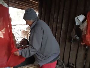 Vive de la caridad de sus vecinos, pero para Hacienda no es apta para la pensión del adulto mayor - Noticias del Chaco - ABC Color