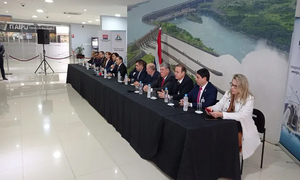 Acordaron tarifa de Itaipú, reducirán costo de la ANDE a más de 1 millón de usuarios - OviedoPress
