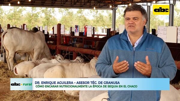 ¿Cómo encarar nutricionalmente la época de sequía en el Chaco? - ABC Rural - ABC Color