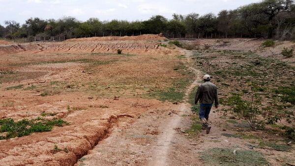 Continúa siendo crítica la situación en el Chaco por la larga sequía
