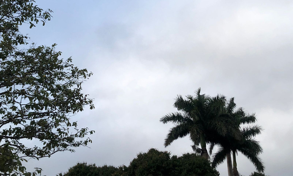 Miércoles 10 de agosto, persistirán las lluvias ligeras y vientos moderados del sector sur - OviedoPress