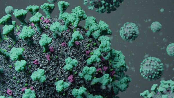 China detecta 35 casos en humanos de un nuevo virus de origen animal