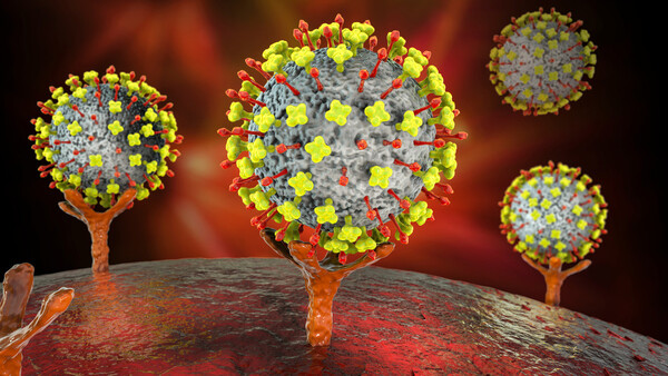 Diario HOY | Más de 30 personas afectadas por un nuevo virus de origen animal en China