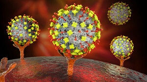 Más de 30 personas afectadas por un nuevo virus de origen animal en China