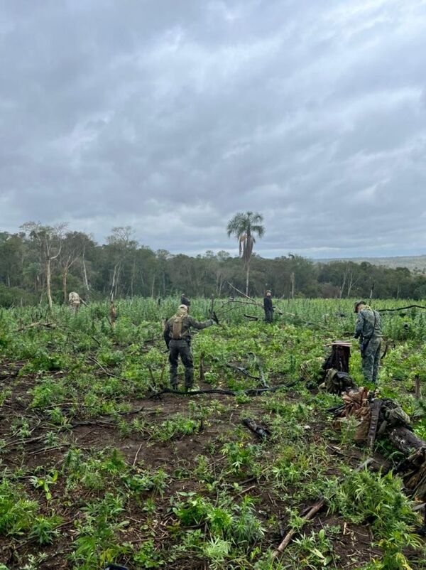Paraguay y Brasil inician nueva ofensiva contra el narcotráfico en Amambay  