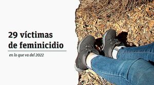 Feminicidios: casi tres víctimas por mes en lo que va del 2022 - Policiales - ABC Color