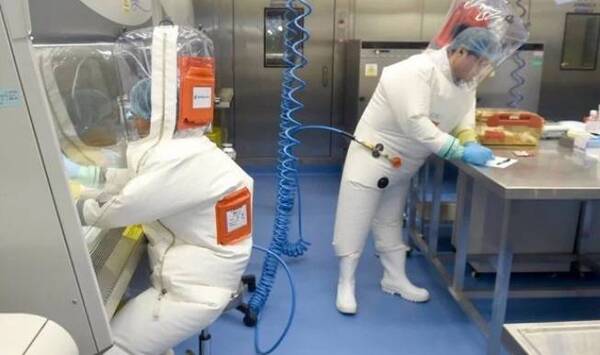 Crónica / Chinos más animales: pillan nuevo virus que ya afectó a más de 30 personas