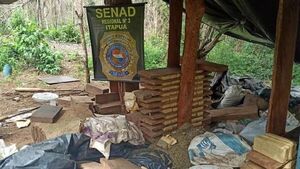 Senad destruye campamentos y toneladas de marihuana en Itapúa