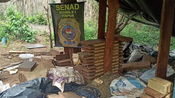 Senad destruye campamentos y toneladas de marihuana en Itapúa