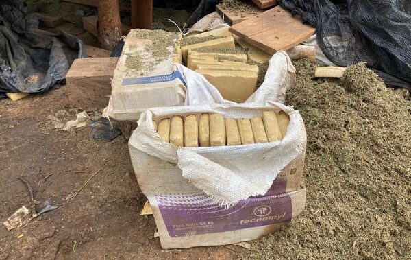 Destruyeron más de 13 toneladas de marihuana y 4 campamentos en la Reserva San Rafael - Megacadena — Últimas Noticias de Paraguay