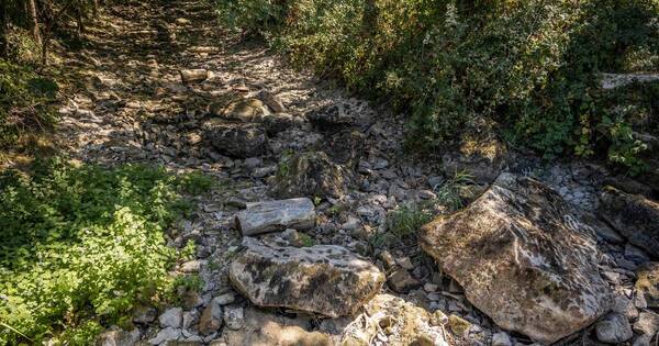 La Nación / La sequía en Francia desata una verdadera guerra por el agua