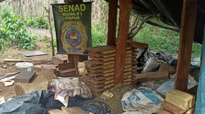 Senad destruye campamentos y toneladas de marihuana en Itapúa - Noticiero Paraguay
