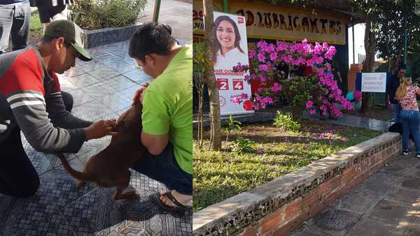 Con apoyo de Pame González, vacunaron a animales en Cambyretá