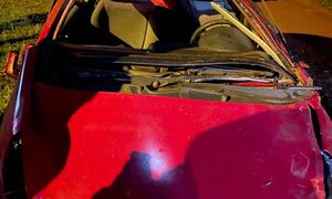 Perro ocasionó vuelco de vehículo